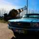 Ford Mustang Oldtimer Hochzeitsauto