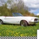 Ford Mustang Oldtimer Hochzeitsauto