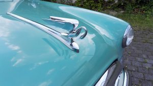 Packard Oldtimer Hochzeitsauto