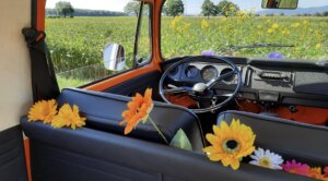 VW T2 Bulli Oldtimer Hochzeitsauto Oldtimerzentrale